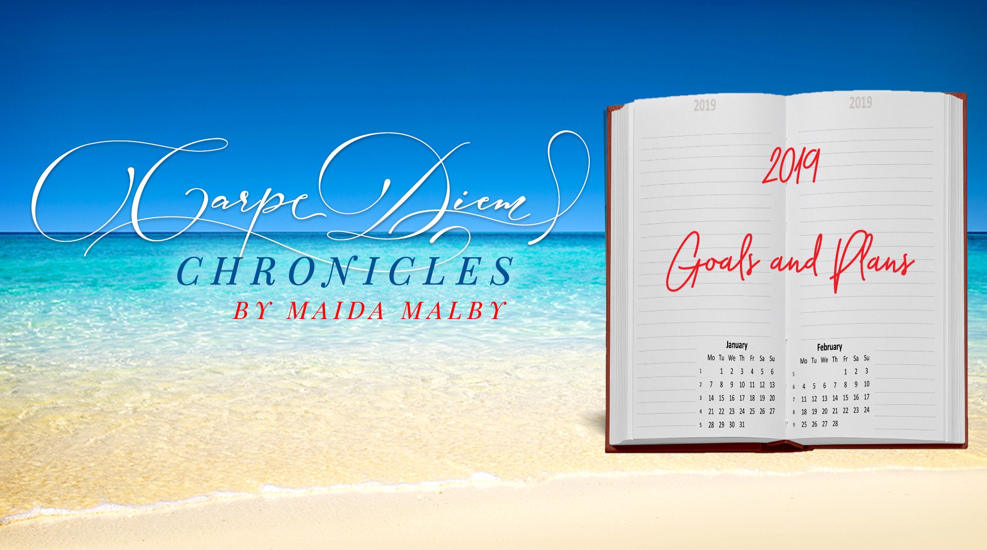 2019 Goals and Plans