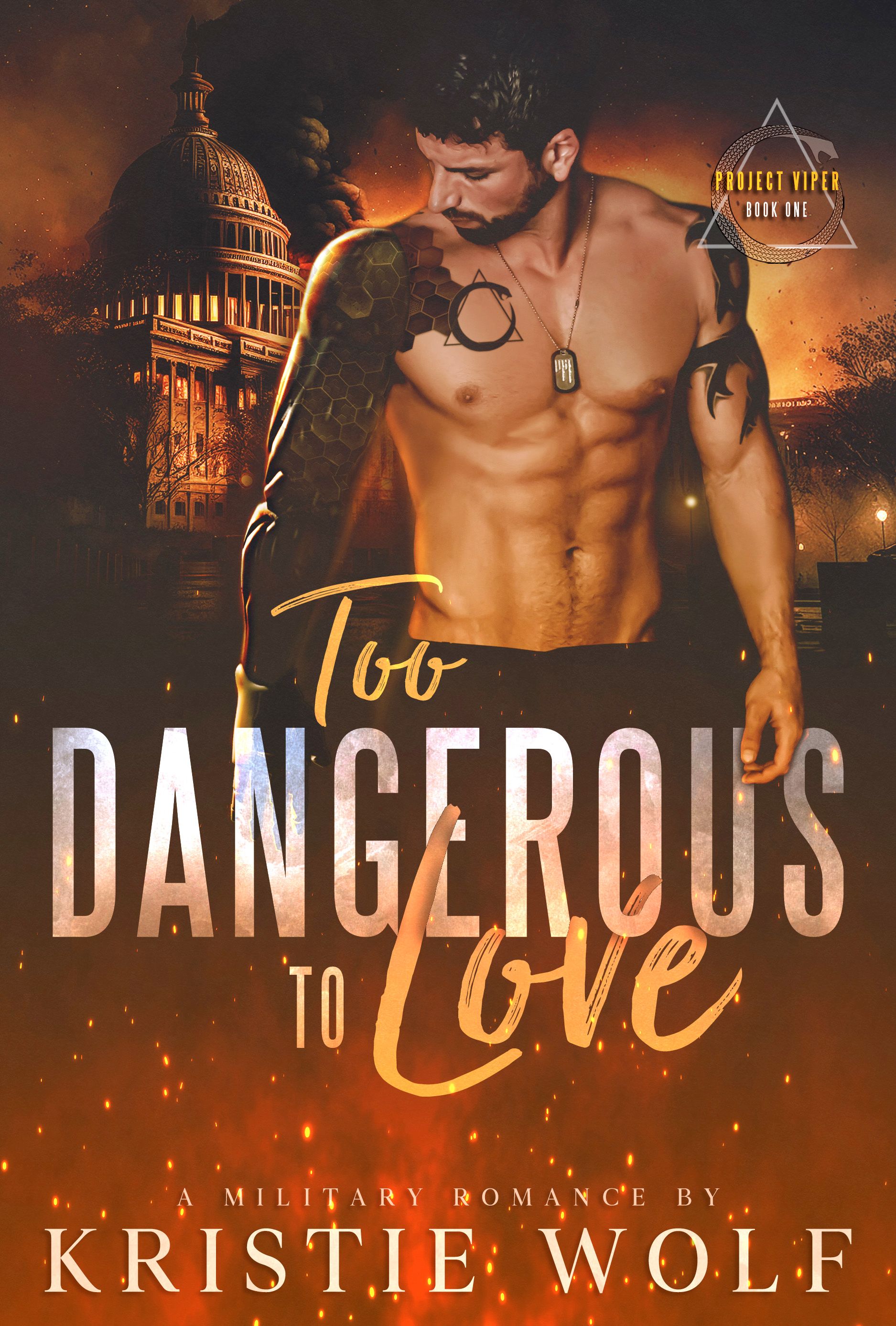 Too Dangerous To Love cover